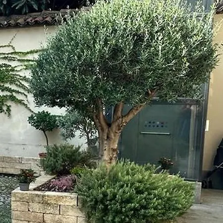 Le Tre Ca', Ca' Cecilia, Ca' Nina, Ca' Vittoria Διαμέρισμα Άστι