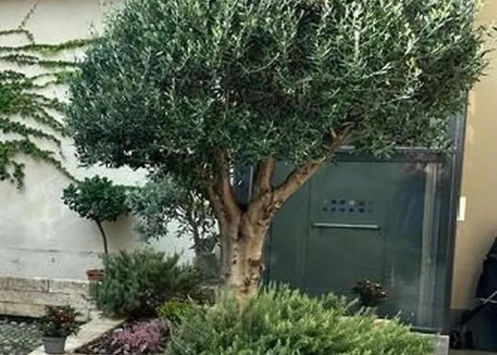 Le Tre Ca', Ca' Cecilia, Ca' Nina, Ca' Vittoria Appartamento Asti